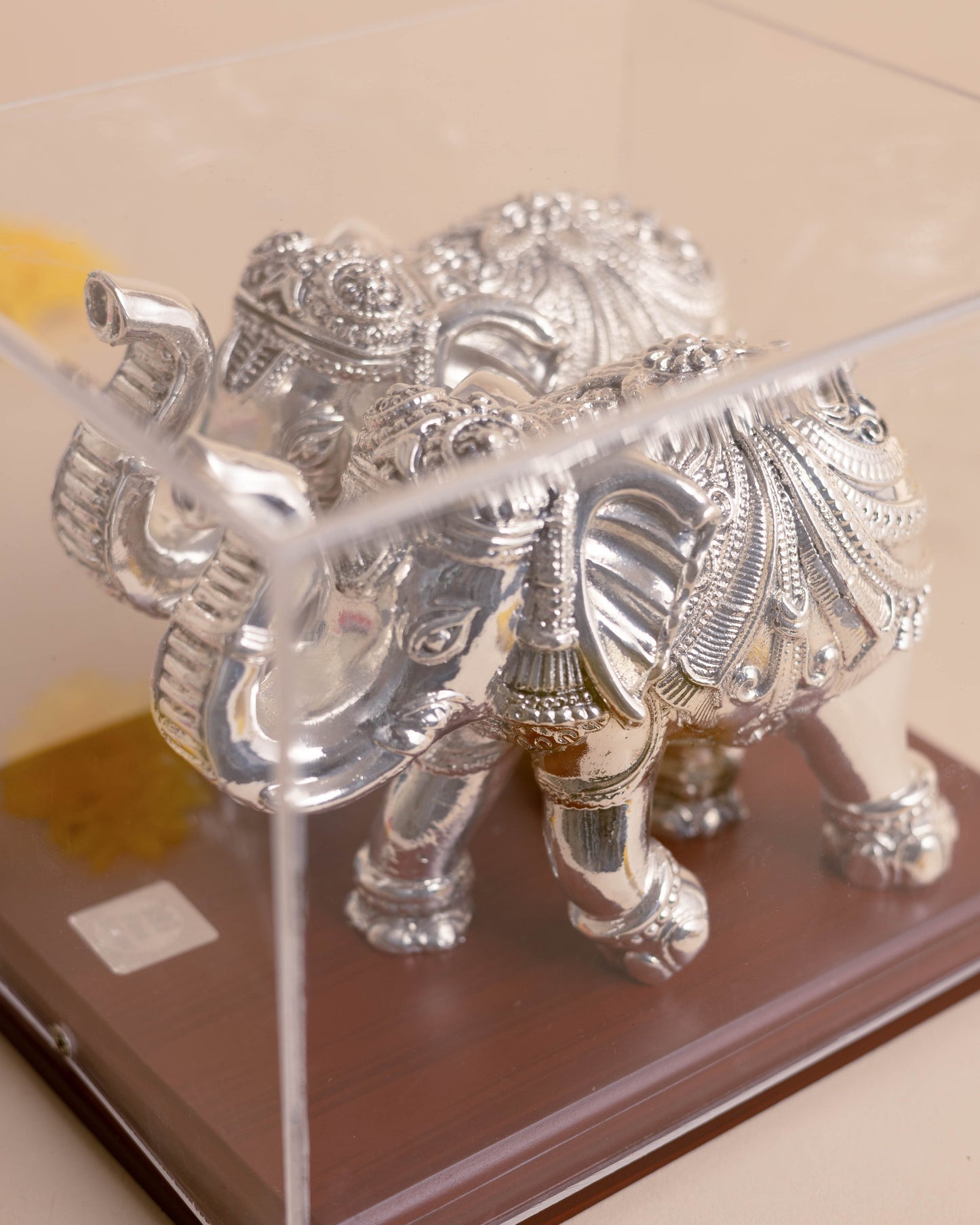 Pure Silver Gaja Combo