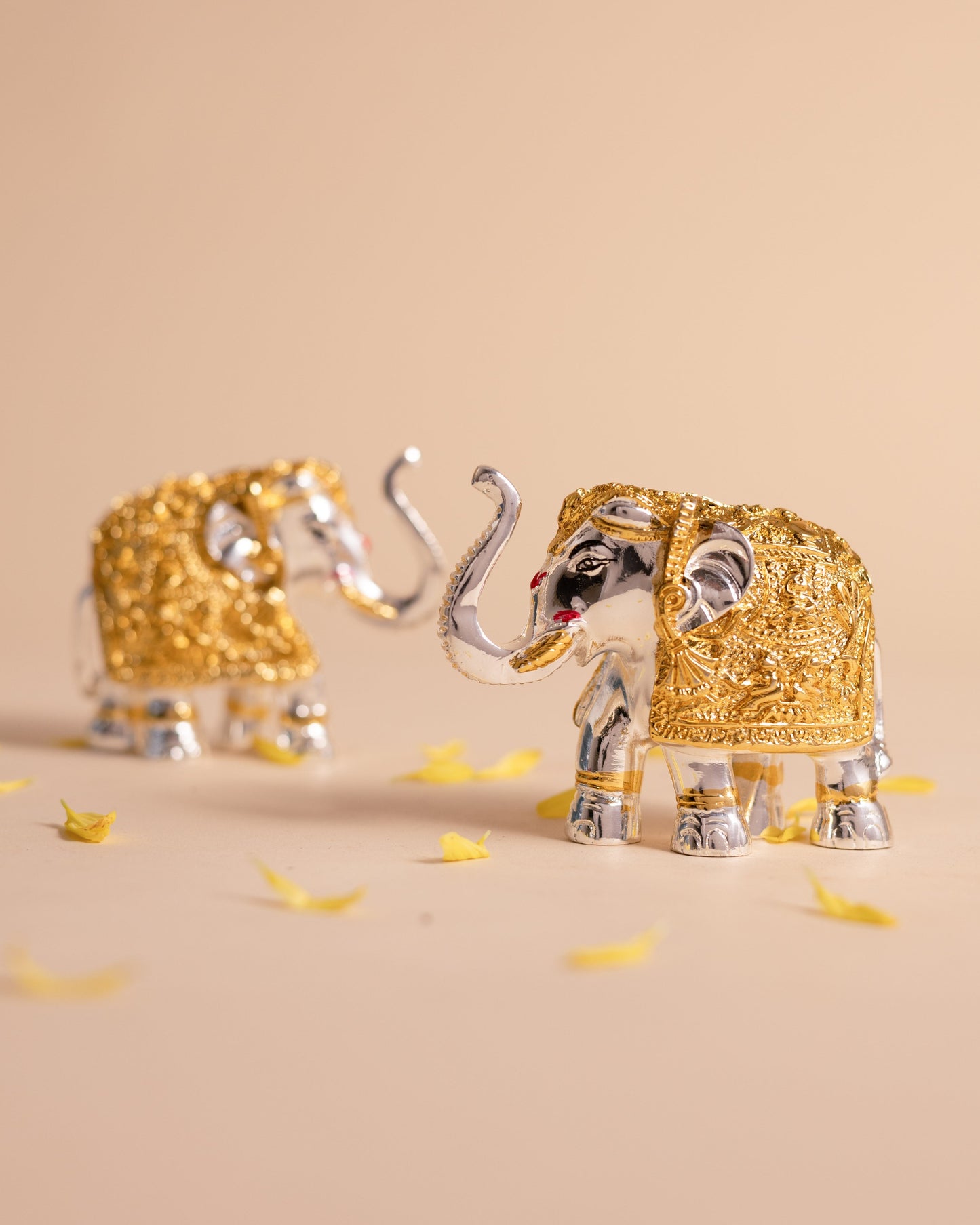 Pure Silver Gaja Combo- Small